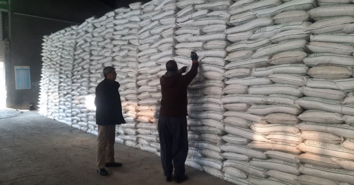 عملیات نمونه برداری از پارت 200 تنی کود سولفات پتاسیم  در استان کردستان