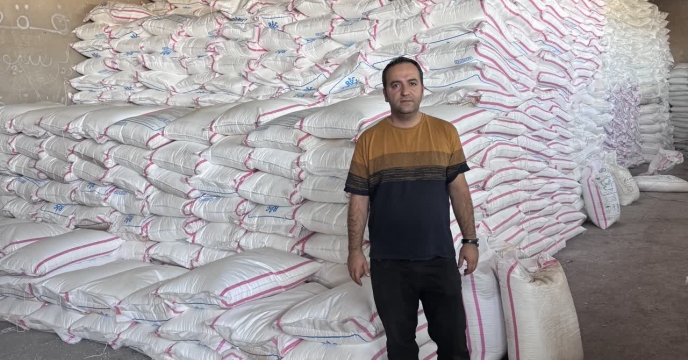تامین  100 تن کود اوره در انبار کارگزاری شهرستان سقز توسط شرکت خدمات حمایتی کشاورزی استان کردستان