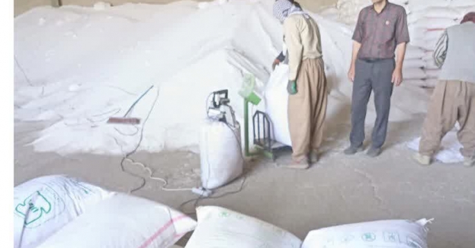 بازدید اکیپ پایش شرکت خدمات حمایتی کشاورزی استان کردستان ازانبارکارگزاران شهرستان دهگلان
