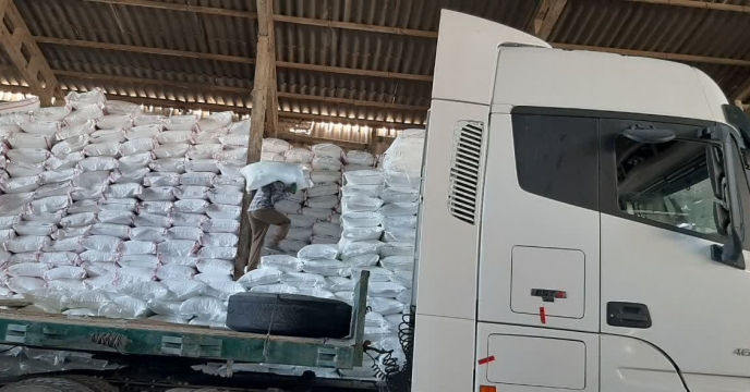 از ابتدای سال جاری تا پایان خرداد ماه سال1404مقدار 600تن کود اوره در بین کشاورزان شهرستان پیشوا توزیع گردید 