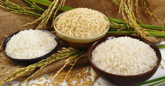صدور بیش از 2300 فقره حواله الکترونیکی برای محصول شلتوک در  شهرستان قزوین 