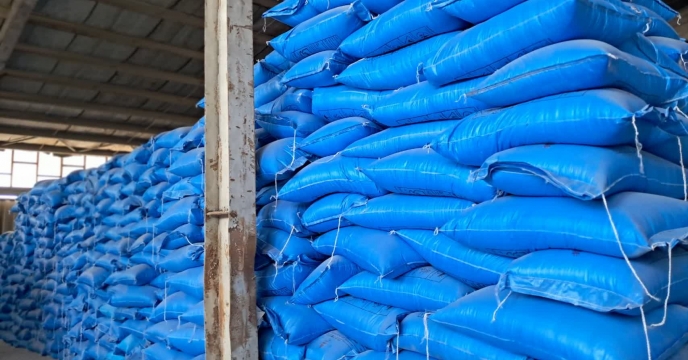  تقویت کشت پاییزه در شهرستان زرند با تامین 255 تن کودهای یارانه‌ای