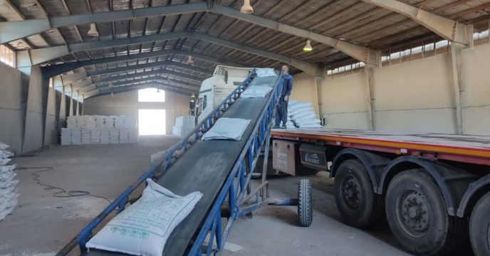 توزیع بیش از1602  تن انواع کود کشاورزی یارانه ای به شهرستان شازند و سربند   و حومه 