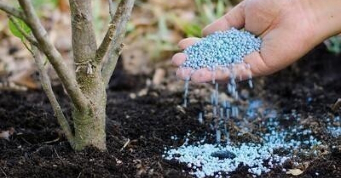 توزیع بیش از 372 تن انواع کودهای کشاورزی در نیمه نخست مهر ماه سال جاری در شهرستان های استان سیستان وبلوچستان 