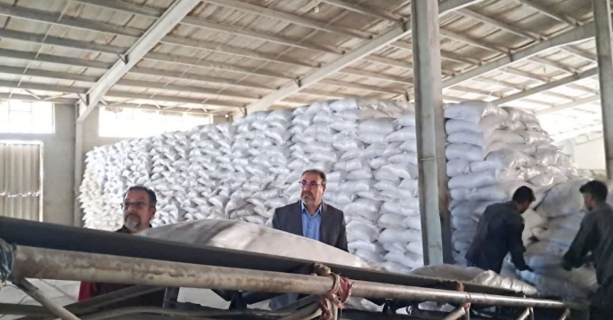 میزان ۷۳۵ تن کود یارانه‌ای به شبکه توزیع کشاورزی شهرستان ارزوئیه  تحویل شد