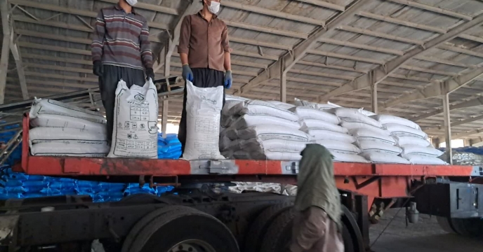 بیش از 2350 تن کود برای افزایش بهره‌وری تولیدات کشاورزی در کرمان توزیع شد