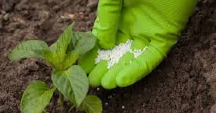 تفاهم نامه همکاری با شرکت زیست توده هیدروژن به مدیران استان ابلاغ گردید