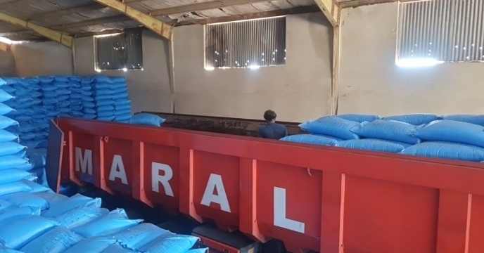 توزیع بیش از 17 هزار تن کود یارانه ای اوره در جنوب کرمان با هدف پشتیبانی از تولید و شفافیت فرایندها