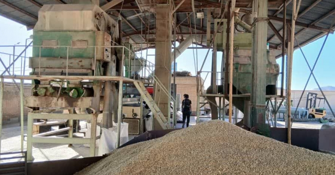 پایان عملیات بوجاری نهاده بذر گندم و جو در شرکت خدمات حمایتی کشاورزی استان چهار محال و بختیاری