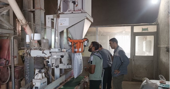 عملیات بوجاری و کنترل کیفی توسط کارشناس معین شرکت خدمات حمایتی کشاورزی استان  گلستان صورت گرفت