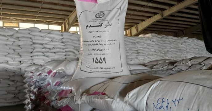 اتمام عملیات بوجاری بذر گندم شرکت خدمات حمایتی کشاورزی استان چهار محال و بختیاری