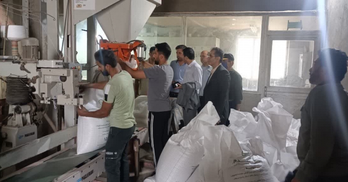 عملیات بوجاری بذر گندم در شرکت خدمات حمایتی کشاورزی استان گلستان 