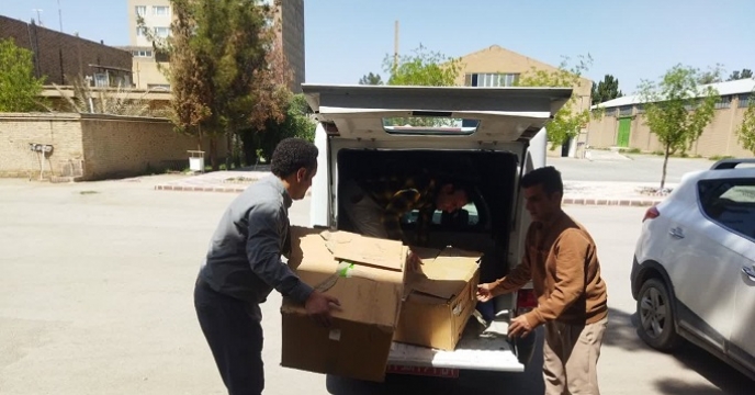 تحویل ۳۵ عدد هد سمپاش الکترو استاتیک موجود در انبار سنواتی شرکت خدمات حمایتی کشاورزی استان خراسان جنوبی به سازمان جهاد کشاورزی استان