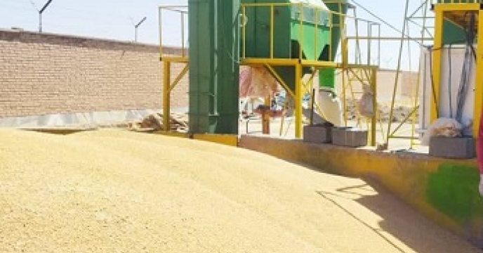 بذور خریداری شده  توسط شرکت خدمات حمایتی کشاورزی استان خراسان جنوبی آماده شروع  عملیات بوجاری هستند