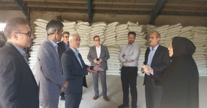 بازدید میدانی معاونت بهبود تولیدات گیاهی  از شرکت خدمات حمایتی کشاورزی لرستان