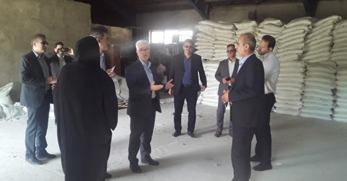 اعلام وصول میزان 200 تن کود سوپر فسفات تریپل در انبارهای میدان تیر شرکت خدمات حمایتی کشاورزی لرستان