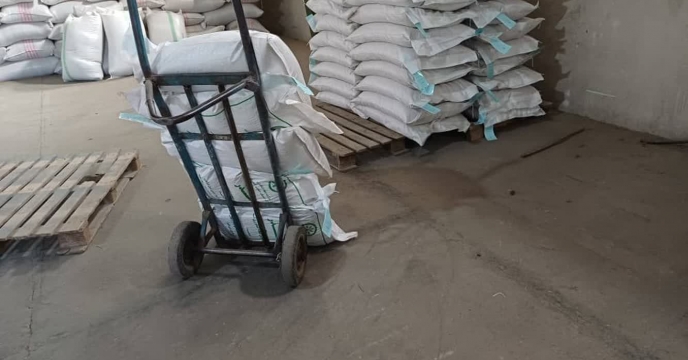 نمونه گیری از بذور شلتوک برنج بوجار شده و پارت چینی در انبار شرکت خدمات حمایتی کشاورزی استان مازندران