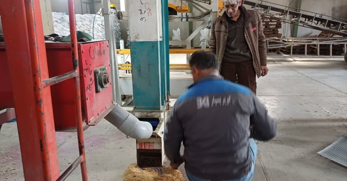 عملیات بوجاری بذر شلتوک برنج در شرکت خدمات حمایتی کشاورزی استان مازندران به پایان رسید