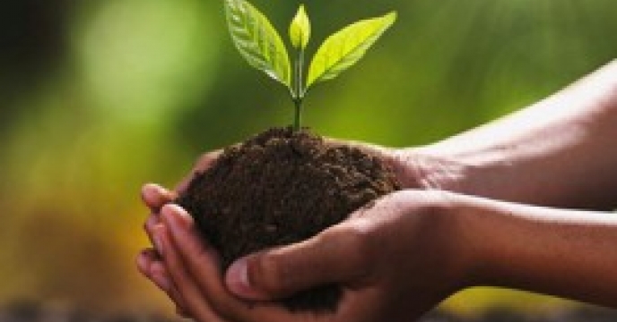 بر اساس حواله های الکترونیک صورت گرفت؛ توزیع بیش از 20 هزار تن کود یارانه ای در جنوب کرمان