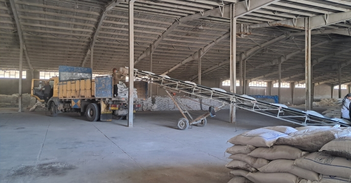 رشد تولید با حمایت دولت؛ بیش از ۳ هزار تن کود یارانه‌ای در مسیر مزارع کرمان