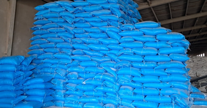 بیش از ۱۵۰ تن کود ازت به کشاورزان شهرستان بافت تحویل شد