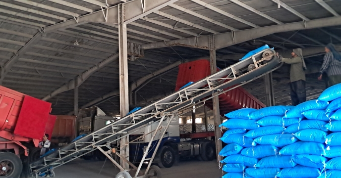 هفت روز تلاش برای پشتیبانی از کشاورزان؛ ۲۹۶ تن کود به شبکه کارگزاری ارزوئیه رسید