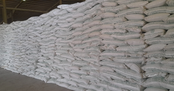 توزیع ۱۹۰ تن کود کشاورزی برای کلزاکاران همدانی در مهر ماه 1404