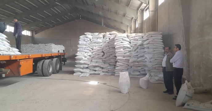 شرکت خدمات حمایتی کشاورزی ۸۸۰۰ تن کود یارانه‌ای برای محصول گندم در استان همدان توزیع کرد