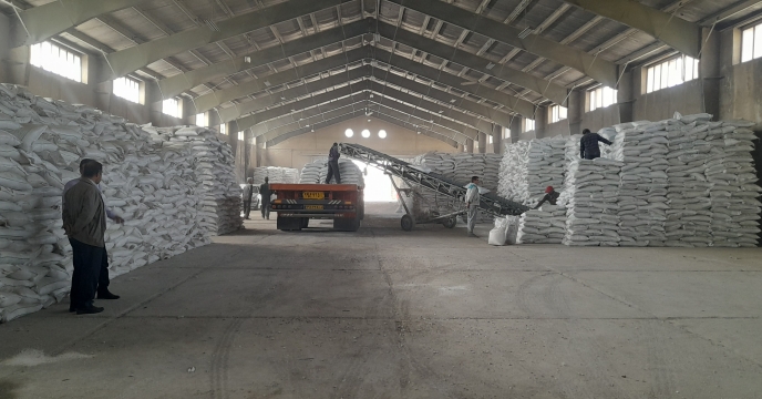 تامین و توزیع 3700 تن انواع کود کشاورزی یارانه ای در بین جوکاران نهاوندی توسط شرکت خدمات حمایتی کشاورزی