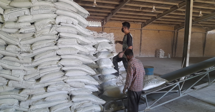 تأمین و توزیع کود کشاورزی در شهرستان بهاباد استان یزد تا اواسط آذر ۱۴۰۴