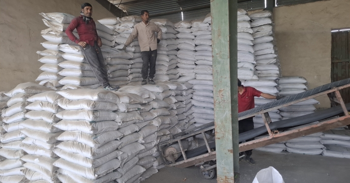 فروش میزان 530 تن انواع کود یارانه‌ای به کارگزاران جنوب کرمان