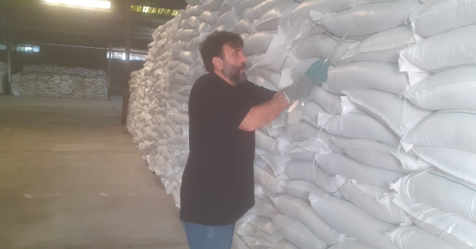 توزیع 350 تن کود سوپرفسفات ساده  گرانوله کود و سم بافق  در مازندران