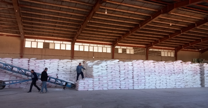 بیش از 2600 حواله کودهای یارانه ای برای محصول گندم در استان قم صادر شد