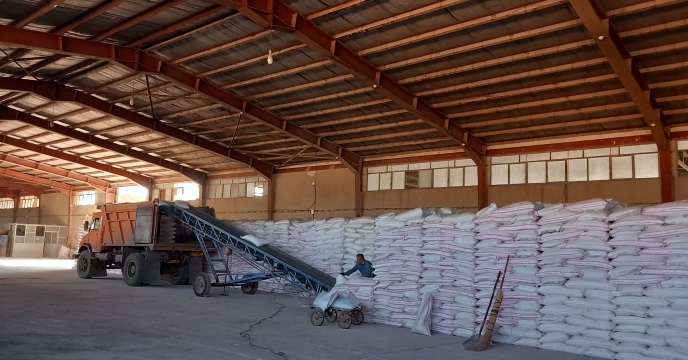 توزیع 7900 تن کود ازت بین کشاورزان شهرستان قم