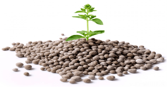 تامین بیش از563 تن انواع کود فسفات در آبان ماه سال جاری