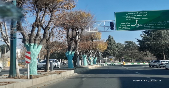 صدور بیش از302 فقره حواله الکترونیک برای توزیع کود به کشاورزان شهرستان محلات و دلیجان آذر ماه 1404