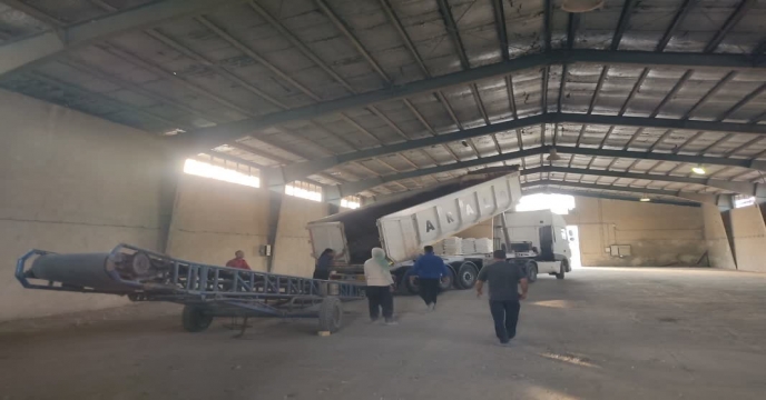 توزیع مقدار1481 تن انواع کود کشاورزی یارانه ای از طریق سامانه پایش برای کشاورزان شهرستان خمین و حومه
