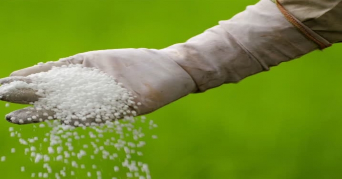 تامین و توزیع 1024 تن انواع کودهای کشاورزی به شهرستان مخلات و دلیجان در هفت ماهه سال جاری