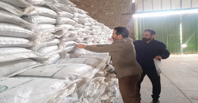نمونه برداری ازکود سوپر فسفات ساده در مجتمع انبارهای کود شهید شاملو استان مرکزی - آذر ماه سال ۱۴۰۴