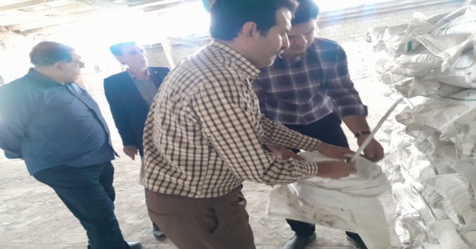 نمونه برداری از کود سولفات پتاسیم گرانوله با حضور دکتر قائمی و مدیریت در انبار سازمانی استان مرکزی 