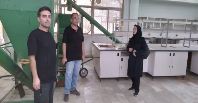 زیست توده