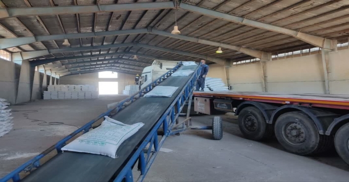 توزیع بیش از1603 تن انواع کود کشاورزی یارانه ای به شهرستان شازند و سربند و حومه