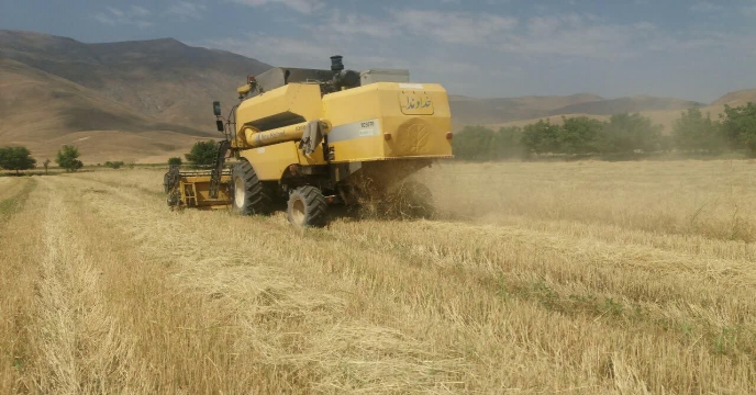صدور بیش از724 فقره حواله الکترونیک برای توزیع کود به کشاورزان شهرستان شازند و سربند خرداد 1404