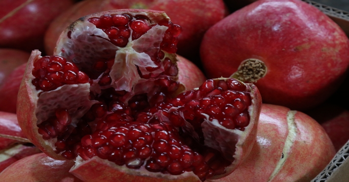 تامین و‌تحویل بیش از 12593 هزارتن انواع کودهای کشاورزی یارانه ای در هشت ماهه سال جاری – شهرستان ساوه و زرندیه . قطب باغات انار و پسته