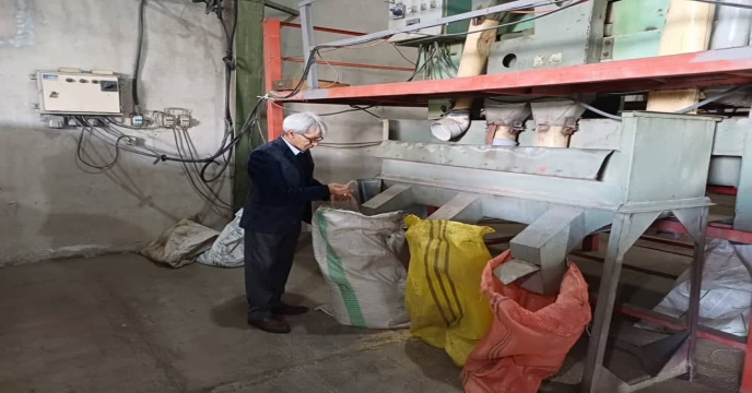 بذر شلتوک برنج 2