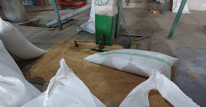 بوجاری بذر شلتوک برنج