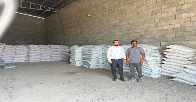 بازدید