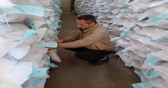 کیسه گیری بذر بوجاری شده