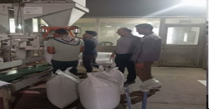 بوجاری بذر گندم1