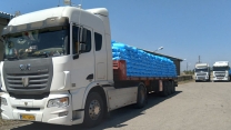 توزیع ۸۵۰۰ تُن کود کشاورزی برای کشت جو در همدان توسط شرکت خدمات حمایتی کشاورزی استان